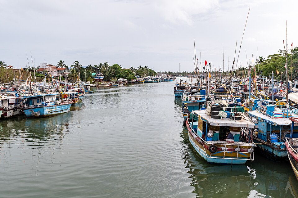 Lagune de Negombo avec des bateaux de pêche traditionnels au coucher du soleil, Sri Lanka