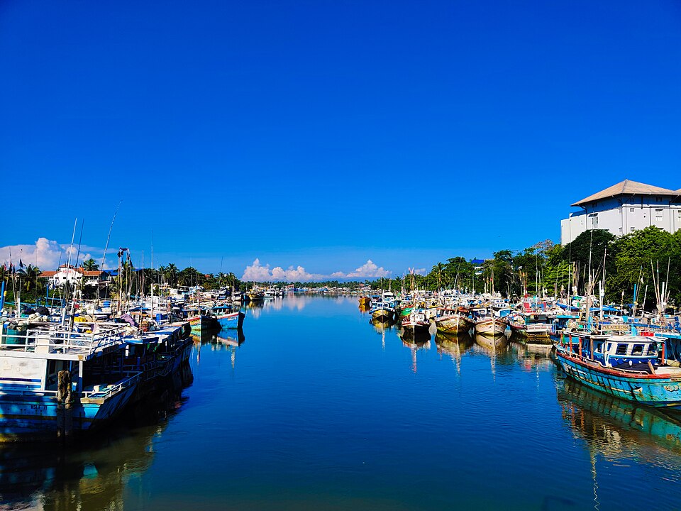 Bateaux en bois traditionnels amarrés sur la lagune de Negombo, Sri Lanka