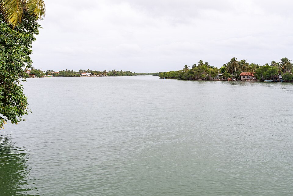 Negombo-Lagune in der goldenen Stunde mit Booten und Palmen, Sri Lanka